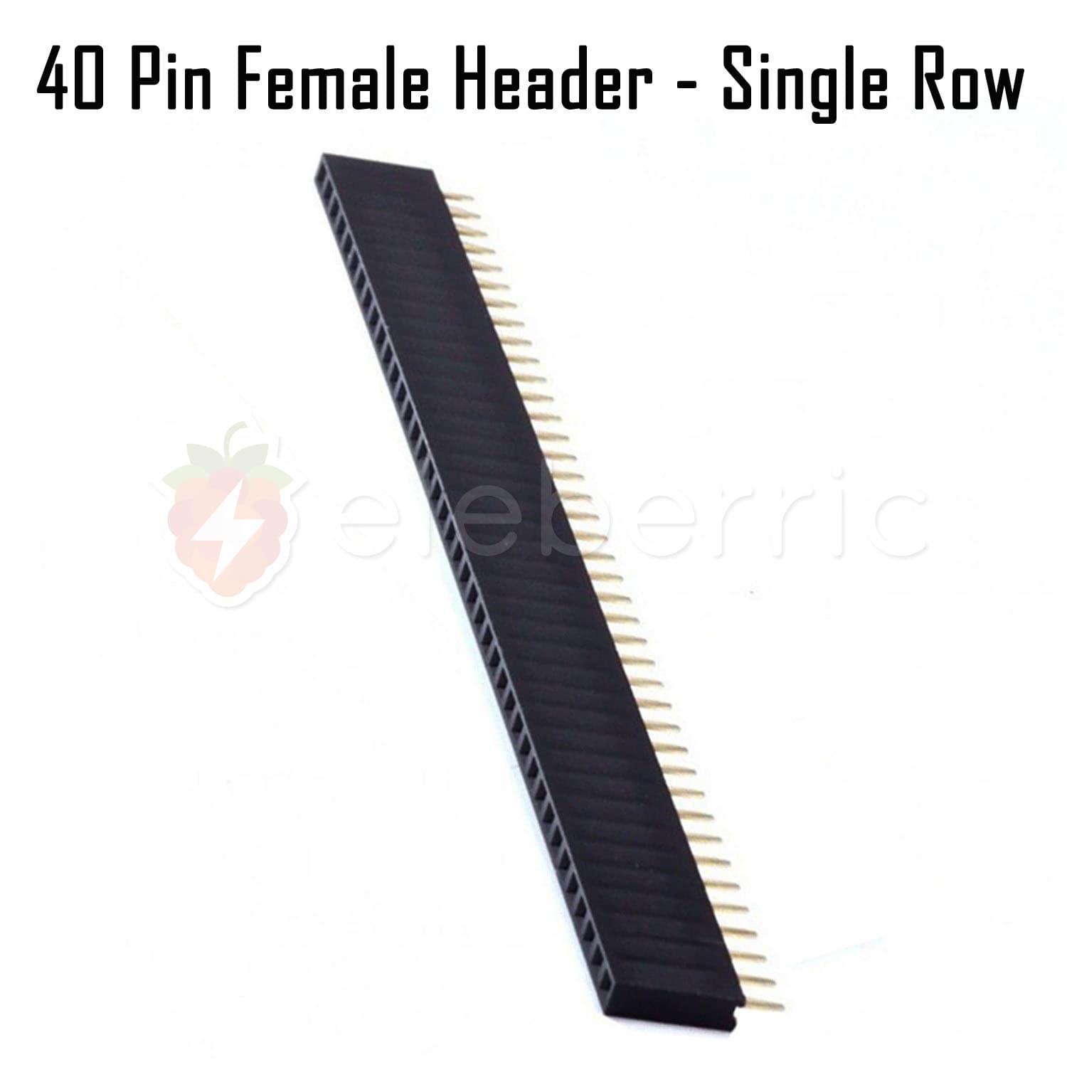 40 Pin Female Header Single Row