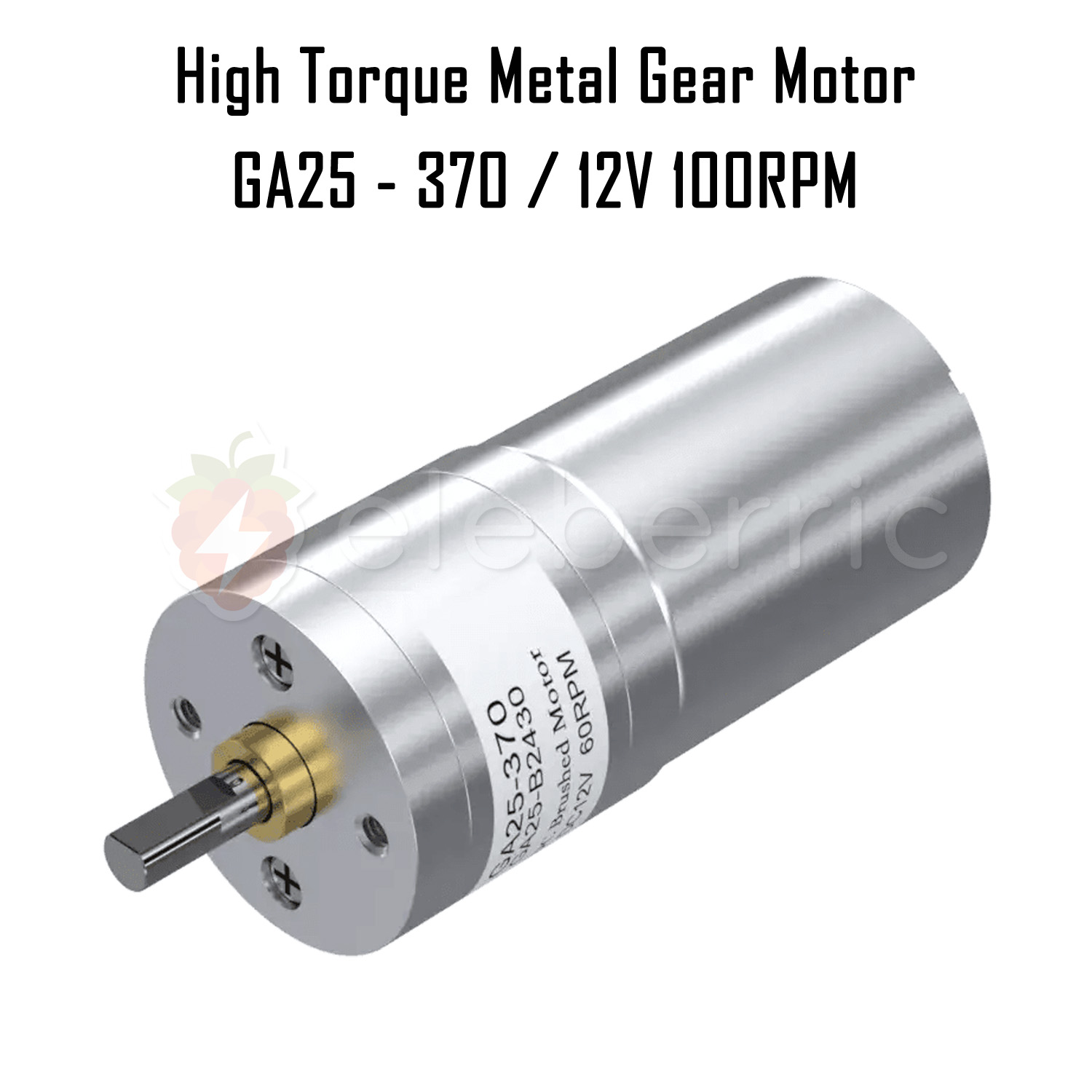 GA25-370 12V 100 RPM High Torque Metal Gear Motor Full View 1