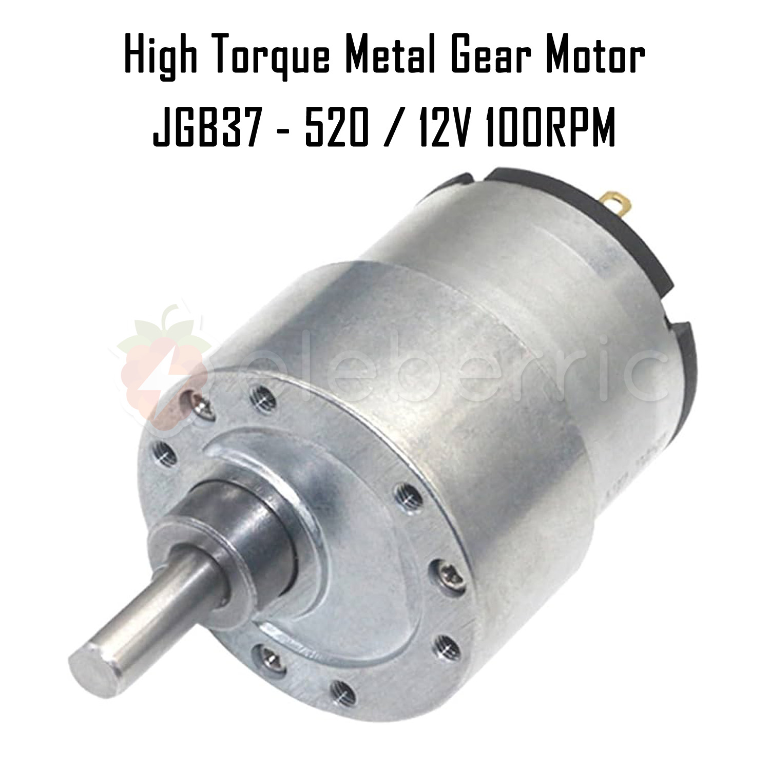 JGB37-520 12V 100 RPM High Torque Metal Gear Motor Full View 1